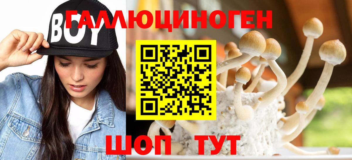 Богородск  Псилоцибиновые грибы MAGIC MUSHROOMS  Вход с VPN 